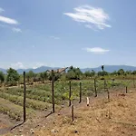 Rita Al Vesuvio 테르지뇨