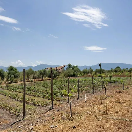 Rita Al Vesuvio Holiday home